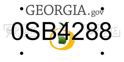 0SB4288 Georgia License Plate