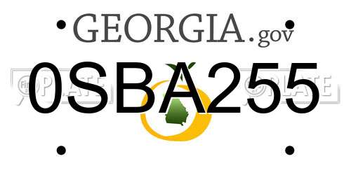 0SBA255 Georgia License Plate