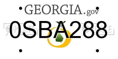0SBA288 Georgia License Plate