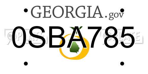 0SBA785 Georgia License Plate