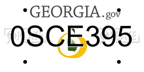 0SCE395 Georgia License Plate