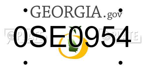 0SE0954 Georgia License Plate