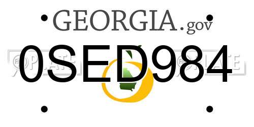 0SED984 Georgia License Plate