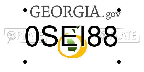 0SEI88 Georgia License Plate