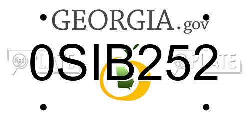0SIB252 Georgia License Plate