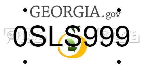 0SLS999 Georgia License Plate