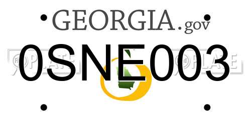 0SNE003 Georgia License Plate