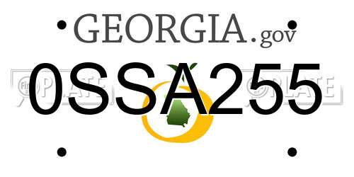 0SSA255 Georgia License Plate