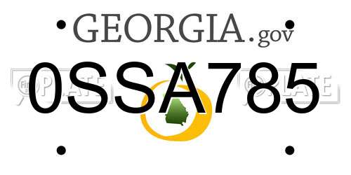 0SSA785 Georgia License Plate