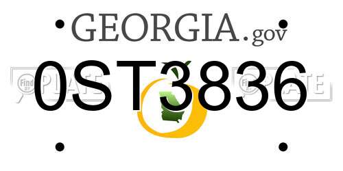 0ST3836 Georgia License Plate