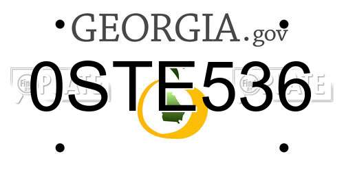 0STE536 Georgia License Plate