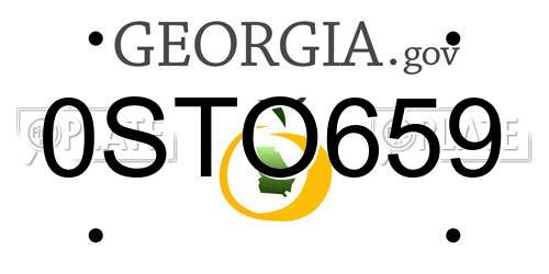 0STO659 Georgia License Plate