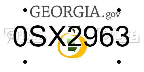 0SX2963 Georgia License Plate