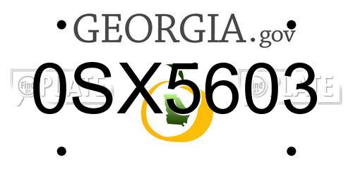0SX5603 Georgia License Plate
