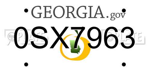 0SX7963 Georgia License Plate