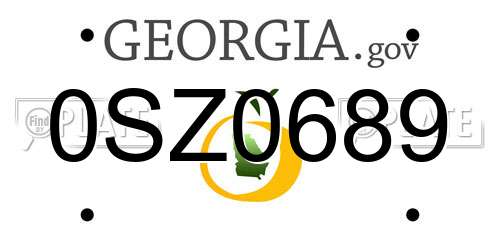 0SZ0689 Georgia License Plate