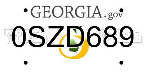 0SZD689 Georgia License Plate