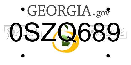 0SZQ689 Georgia License Plate