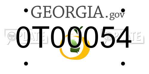 0T00054 Georgia License Plate