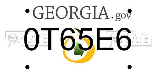 0T65E6 Georgia License Plate