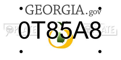 0T85A8 Georgia License Plate