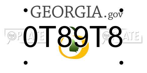 0T89T8 Georgia License Plate