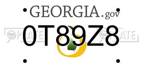 0T89Z8 Georgia License Plate