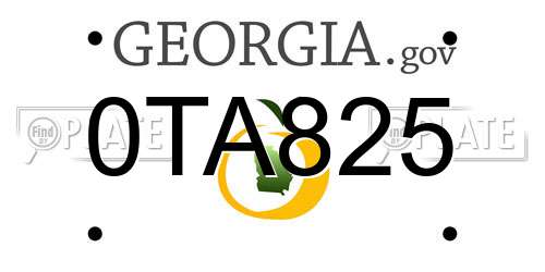 0TA825 Georgia License Plate