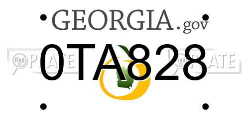 0TA828 Georgia License Plate