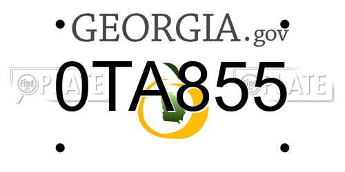 0TA855 Georgia License Plate