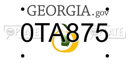 0TA875 Georgia License Plate