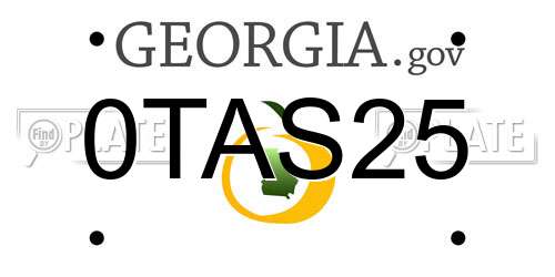 0TAS25 Georgia License Plate