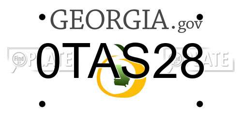 0TAS28 Georgia License Plate