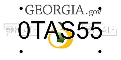 0TAS55 Georgia License Plate