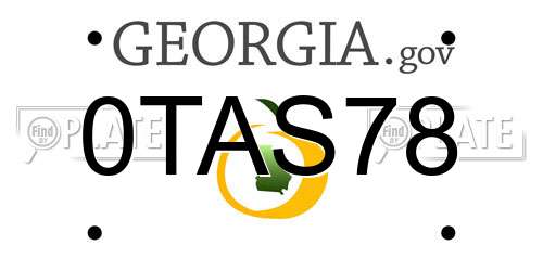0TAS78 Georgia License Plate
