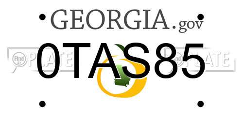 0TAS85 Georgia License Plate