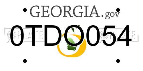 0TDO054 Georgia License Plate