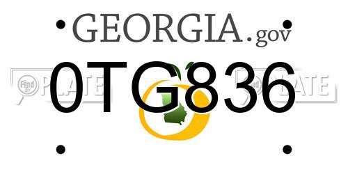 0TG836 Georgia License Plate