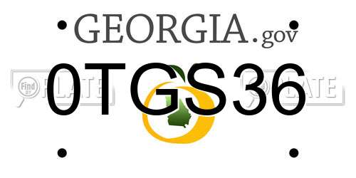0TGS36 Georgia License Plate