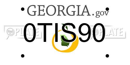 0TIS90 Georgia License Plate