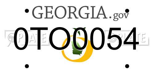 0TO0054 Georgia License Plate