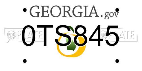0TS845 Georgia License Plate