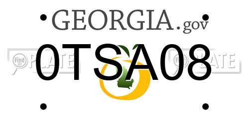 0TSA08 Georgia License Plate