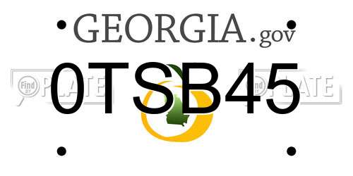 0TSB45 Georgia License Plate