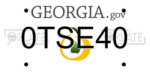 0TSE40 Georgia License Plate