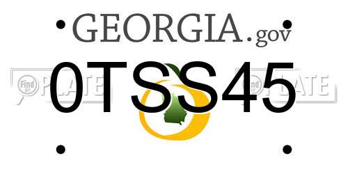 0TSS45 Georgia License Plate