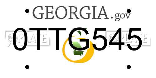0TTG545 Georgia License Plate