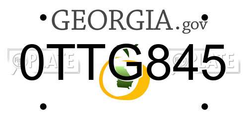 0TTG845 Georgia License Plate