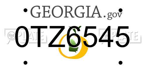 0TZ6545 Georgia License Plate