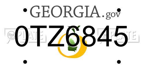 0TZ6845 Georgia License Plate